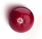 image_not_found